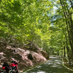 クリスタルラインのロード風景～北のゴールへ⑤