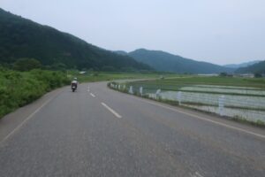 日本原風景的なR289の田園ロードを走る