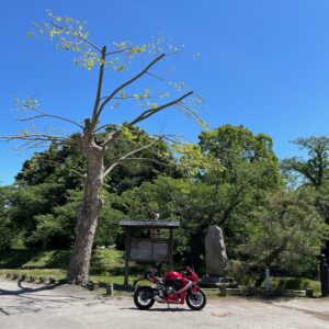 長野県佐久市龍岡城址にてwith CBR650R②