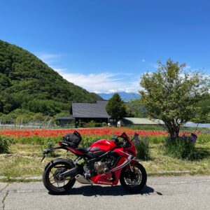 クリスタルライン五郎舎付近にて南アルプスを望むwith CBR650R②