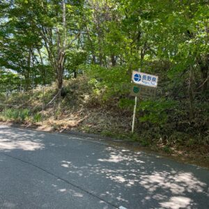 緑あふれる信州峠にて