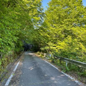 クリスタルラインのロード風景～木賊峠⑩