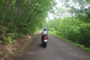 矢ノ原湿原エリアに向かうR400の側道にて③