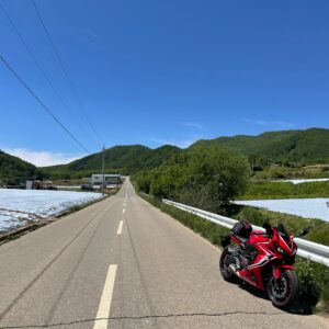 信州峠から下ったストレートロードにてwith CBR650R