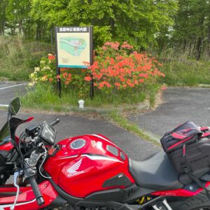 クリスタルラインのロード風景～乙女湖⑥