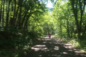 林道小熊黒沢線を登り小熊山パラグライダー場を目指す②