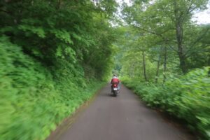 鬱蒼とした林道白池線を走る⑦