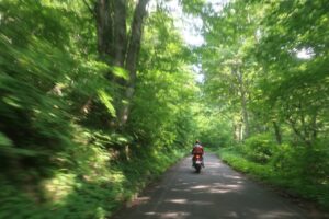 鬱蒼とした林道白池線を走る②