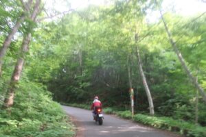 鬱蒼とした林道白池線を走る③