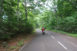 鬱蒼とした林道白池線を走る⑤