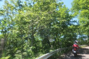 林道小熊黒沢線を登り小熊山パラグライダー場を目指す③