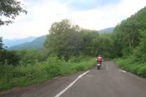 ヒワ平より林道白池線を下る