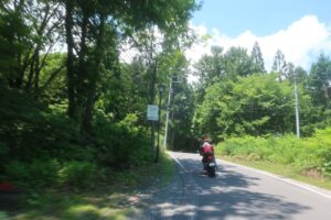 黒菱スカイラインの鬱蒼とした林間エリアを走る