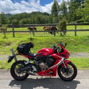 木曽馬の里の馬たちとCBR650R