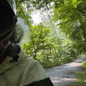 緑が濃くなってきた旧飛騨街道にて