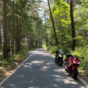 国営アルプスあずみの公園の森林エリアにてwith CBR650R&ninja650