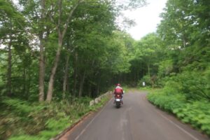 鬱蒼とした林道白池線を走る⑥