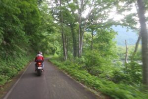 林道白池線の蓮華白池沿いを走る