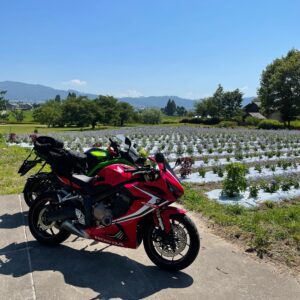 安曇野ちひろ美術館に隣接したラベンダー畑にてwith CBR650R&ninja650
