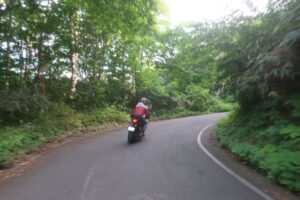 鬱蒼とした林道白池線を走る④