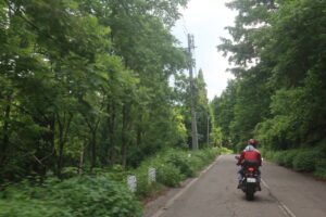 r505の緑あふれる山中を走る③