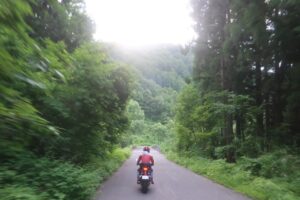 ヒワ平より林道白池線を下る③