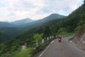 ヒワ平より林道白池線を下る④