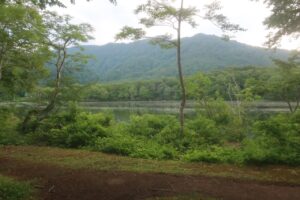 林道白池線沿いにある蓮華白池の眺め