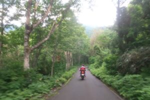 ヒワ平より林道白池線を下る②