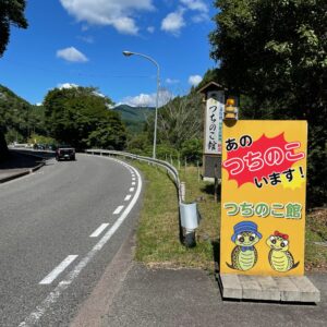 白川トチノキ街道のツチノコ館にて