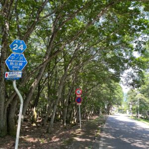 福島県r24／母成グリーンラインの林間エリアを走る