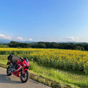 月山高原ひまわり畑にてwith CBR650R
