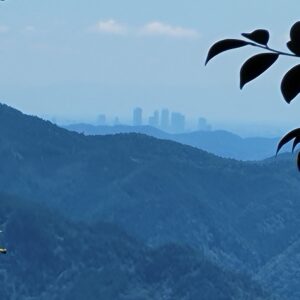 大山白山神社の最上段奥の院から眺めた名古屋都心のビル群の風景