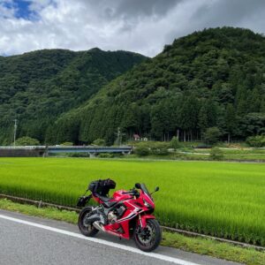 夏の緑あふれるR257の風景with CBR650R