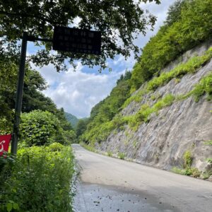 大規模林道・真室川小国線へ