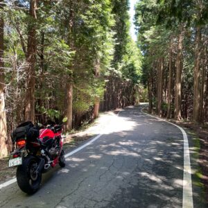 大山白山神社へ登る山道にてwith CBR650R
