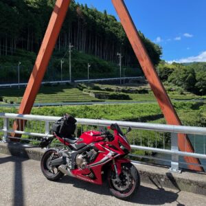 白川トチノキ街道沿いの気持ちいい茶畑風景with CBR650R