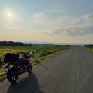 月山高原ひまわり畑にてwith CBR650R③