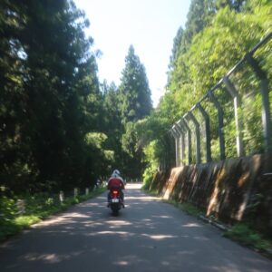 鬱蒼とした風景の福島r343のロード風景