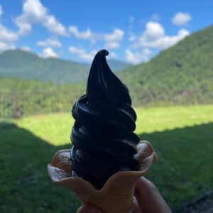 道の駅尾瀬街道みしま宿で食べた桐炭ソフトクリーム