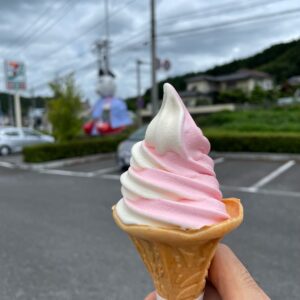 道の駅はなわのダリアミックスソフトクリーム