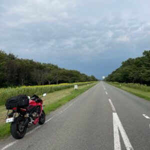 秋田県大潟村の延々と続くひまわりロードにてwith CBR650R