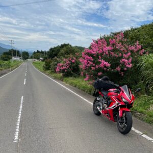 広域農道コスモスラインを走る CBR650R③