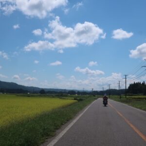 福島r151の黄金色の風景にて