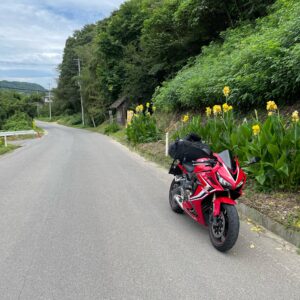 がったり花街道で出会ったささやかなお花たちwith CBR650R