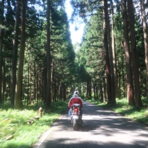 鬱蒼とした風景の福島r343のロード風景②