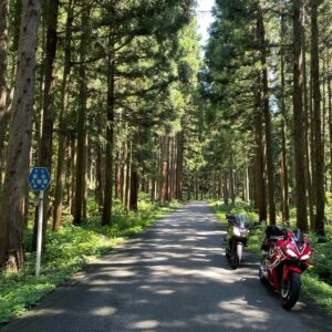 鬱蒼とした風景の福島r343のロード風景with CBR650R & ninja650