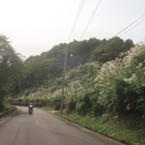 道院高原へ山道を走る④