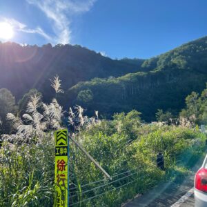 R252田子倉湖付近で見かけたすすきの穂