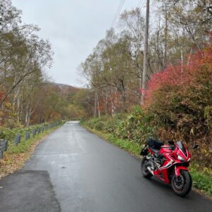 秋らしい奥志賀公園線を走るCBR650R